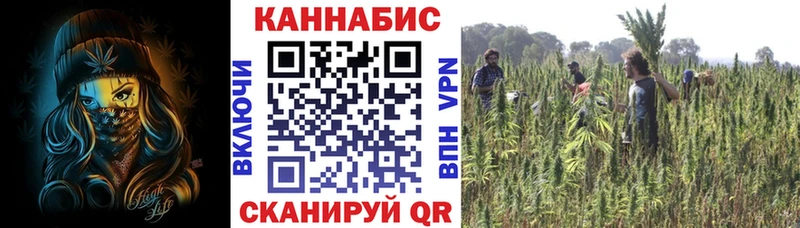 Наркошоп Томилино Гашиш  Cocaine  Амфетамин  Меф 